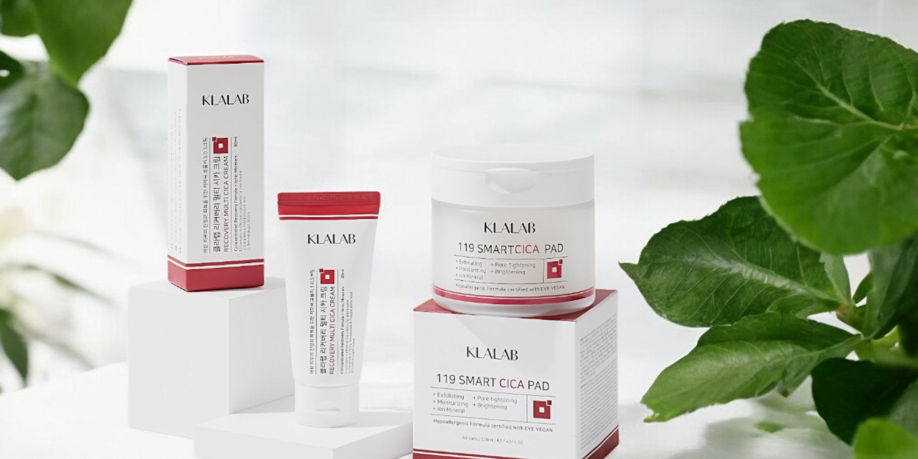 2019 Tiêu đề mốc hành trình